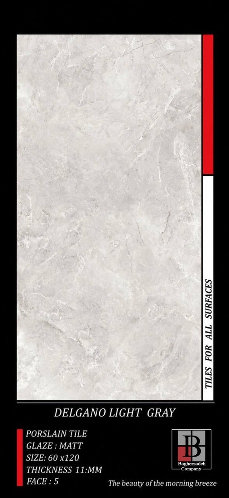 صبا 120*60 دلگانو طوسي روشن (2/16) درجه 1